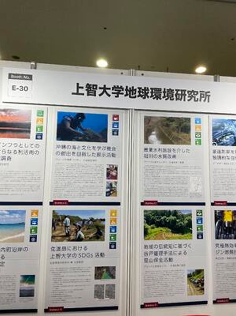 サンゴの植樹活動の様子