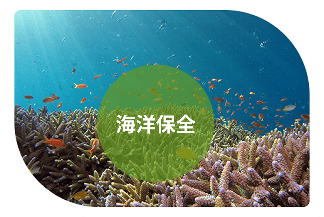 海洋保全の背景写真